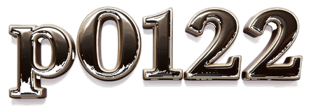 p0121 logo